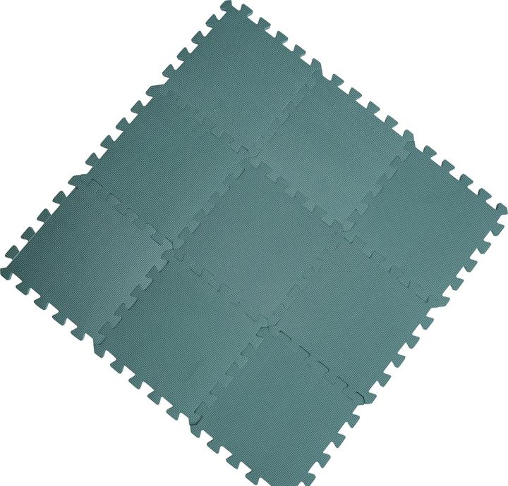 Image du produit Baby Dan Playmat