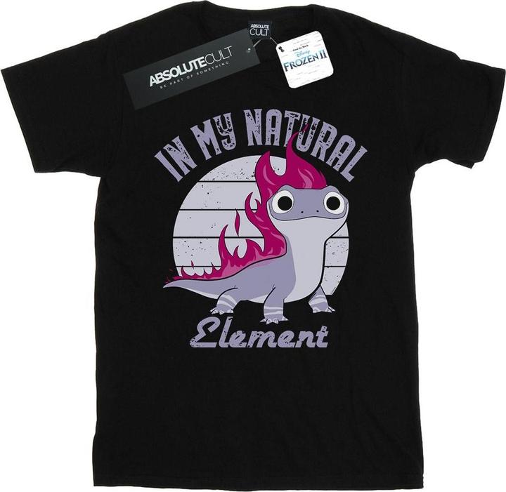 Actual product image Disney Mens Frozen 2 Salamander Bruni Element T-Shirt (3XL)