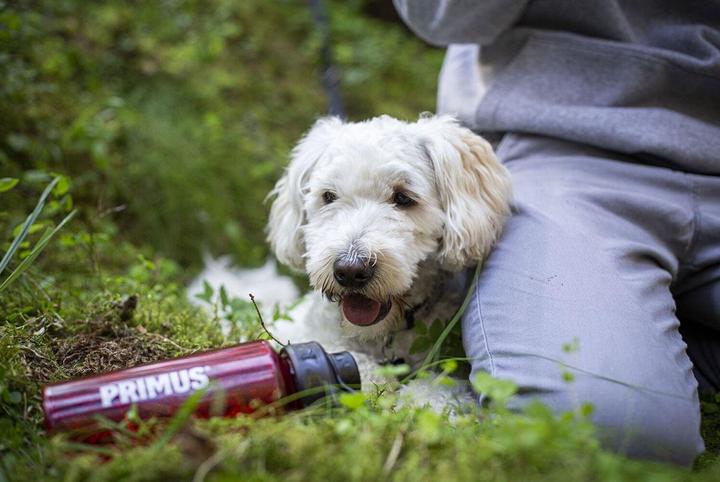 Actual product image Primus Trailbottle Tritan (0.60 l)