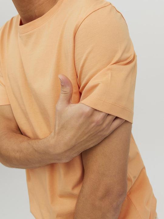 Immagine prodotto Jack & Jones Organico (S)