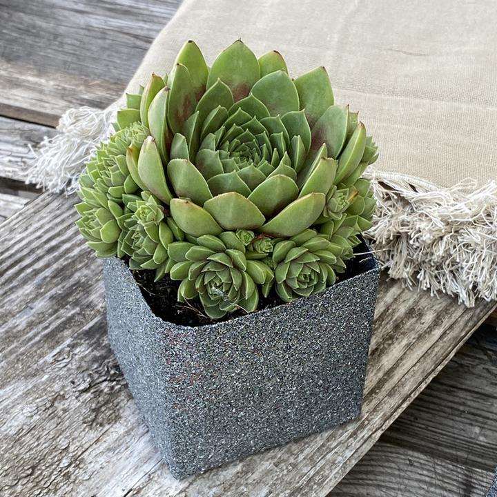 Produktbild Dupli-Color Granite Look (Grau, 0.40 l)