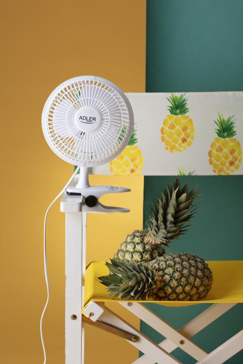 Immagine prodotto Adler AD7317 (46.44 dB)