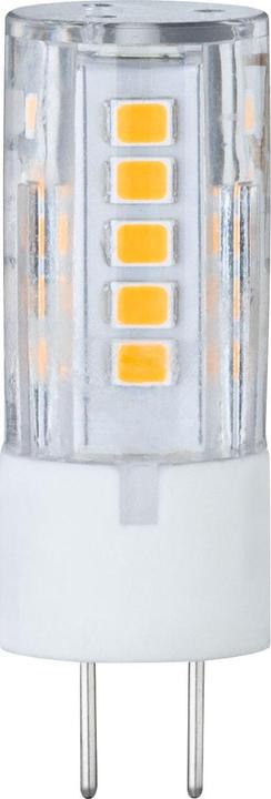 Image du produit Paulmann Socle à broches (GY6.35, 3.50 W, 300 lm, 1 x, G)