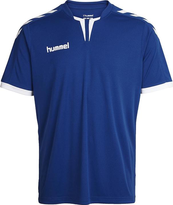 truebluepro