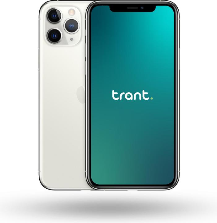 Produktbild Trant.ch iPhone 11 Pro Max (512 GB, Silver, 6.50", SIM + eSIM, C / Gut)