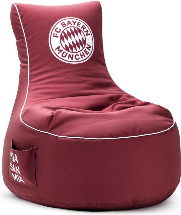Actual product image Sitting Point Swing FCB