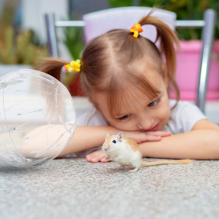 Produktbild Relaxdays Hamsterball