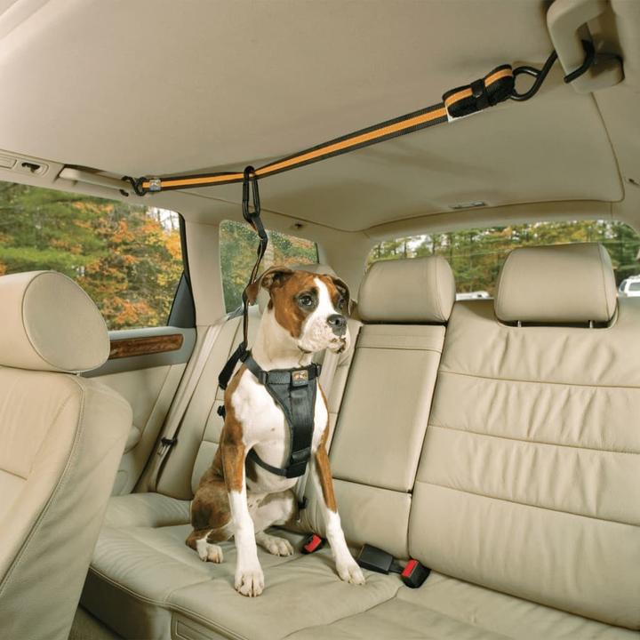 Produktbild Kurgo Auto Zip Line & Leash (Hund, Reflektoren)