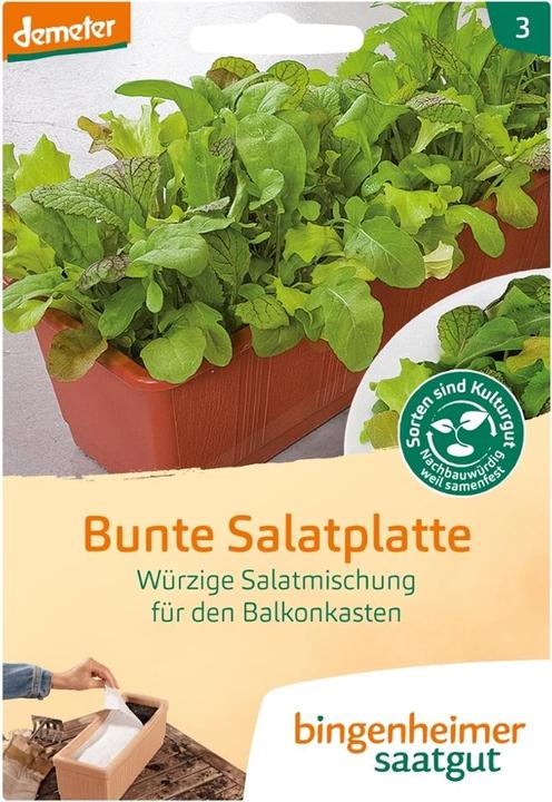 Immagine prodotto Bingenheimer Saatgut Miscela Piatto d'insalata colorato (Germogli)