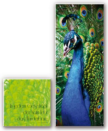Immagine prodotto Trenddeko In ogni creatura della natura (2 parti) (30 x 30 cm, 80 x 30 cm)