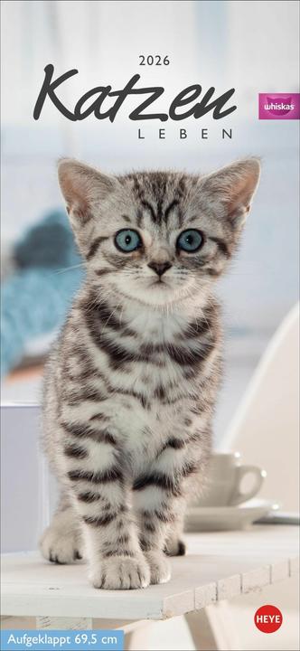 Actual product image Whiskas Katzenleben Kalender 2026 (Hardcover, German)