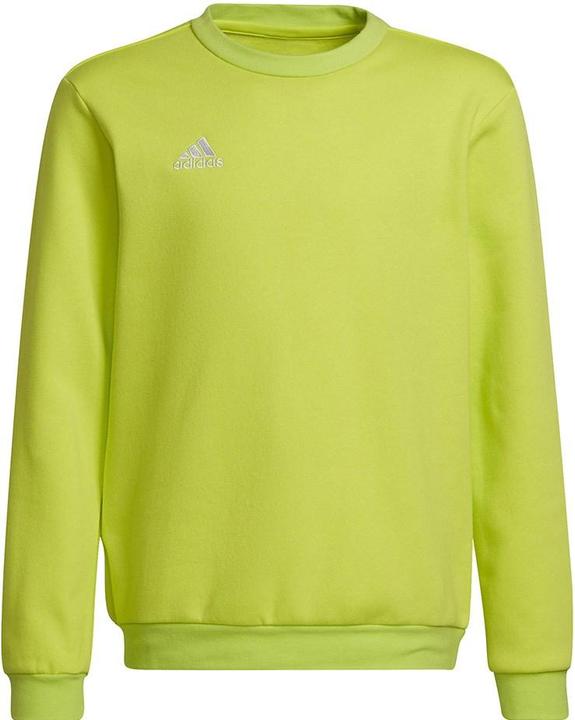 Immagine prodotto adidas Entrada 22 felpa bambini (164)