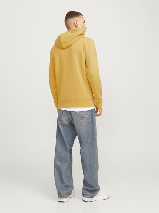 Actual product image Jack & Jones JJELOGO SWEAT HOOD 2 COL 24/25 NOOS (XXL)