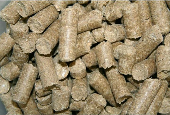 Image du produit Kerbl Delizia Classics Framboise - Friandises pour chevaux - 1 kg (1000 g)