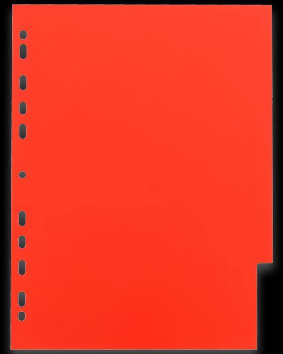 Actual product image Oxford Divider Coloured A4 Pp 12 Tabs