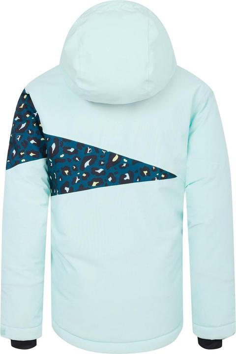 Actual product image Dare2b Childrens/Kids Humour III Cheetah Print Ski Jacket (170, 176)