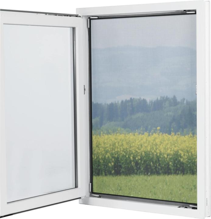 Actual product image Easymaxx Mosquito net (130 x 150 cm)