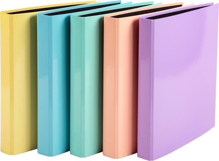 Actual product image Exacompta Ring binders (A4, 25 mm, 1 Piece)