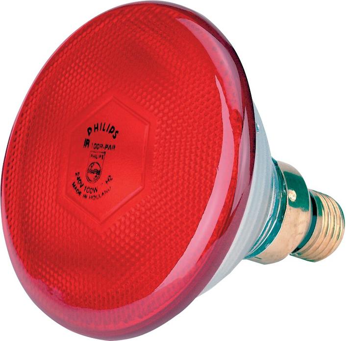 Actual product image Philips Infrared heat lamp (175 W)
