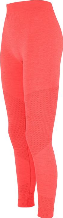 Image du produit Salewa Pantalon Zebru Responsive (40, L)