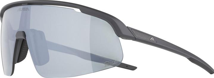 Actual product image ALPINA SPORTS Turbo Pro S Q-Lite (Midnight-grey matt, Silver)