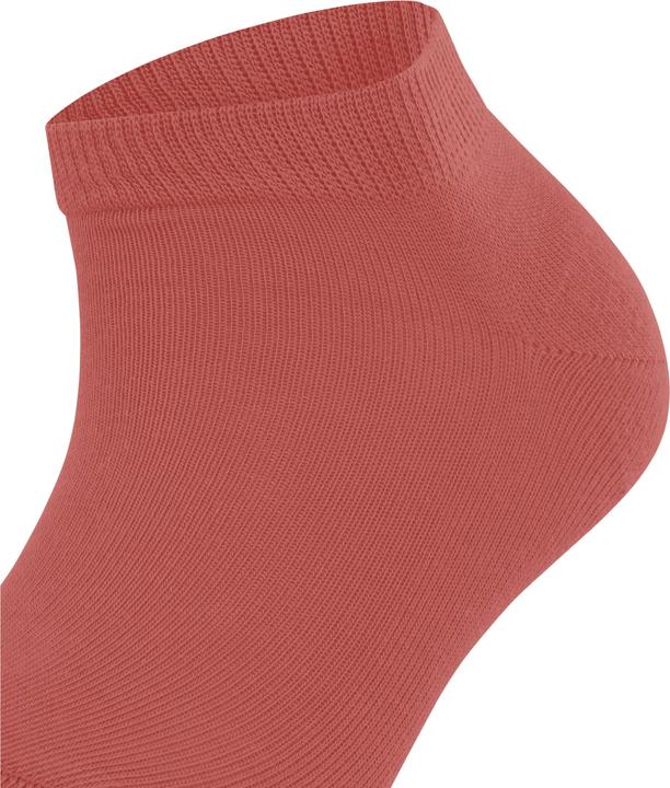 Immagine prodotto Falke Family Damen Sneakersocken (35 - 38)