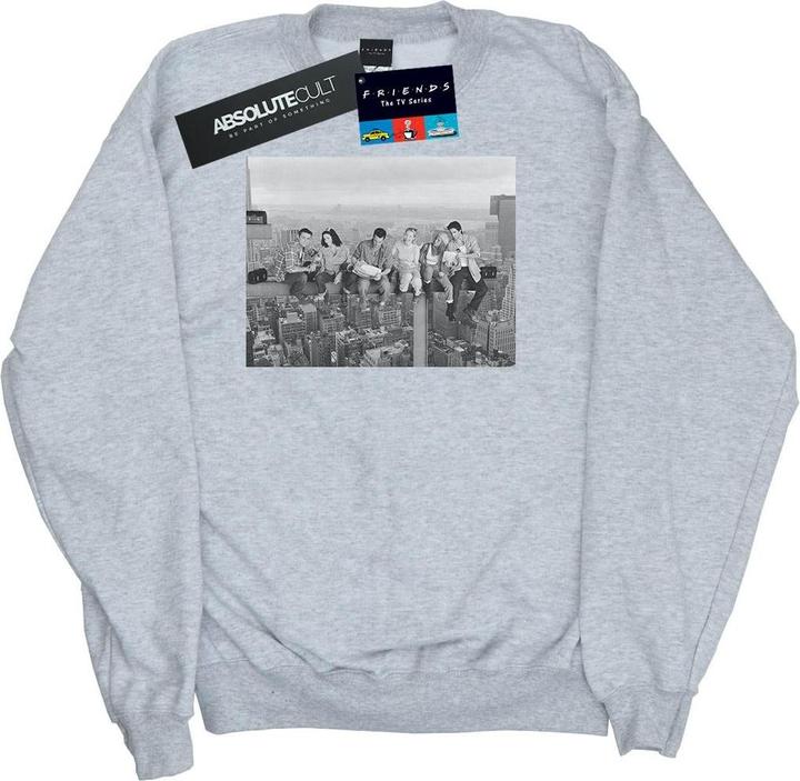 Produktbild Friends Construction Photo Sweatshirt (S)
