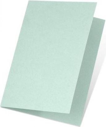 Artoz Karten 1001 107392263 220g, minze Blatt (A5, 220 g/m², 5 x)