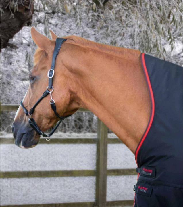 Produktbild Premier Equine Buster Hardy 400 g (183 cm)