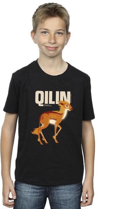 Actual product image Fantastic Beasts Boys Qilin Character T-Shirt (140, 146)