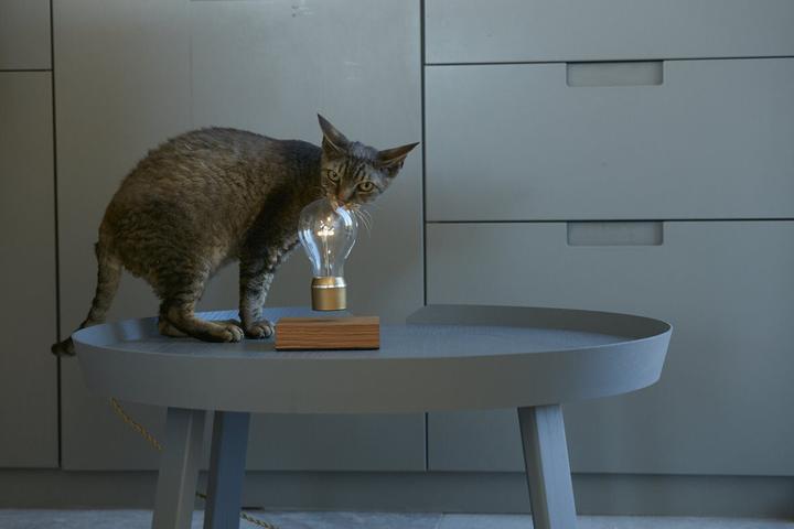 Image du produit Flyte Lampe Nikola Levitation (60 lm)
