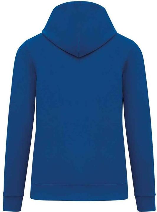 Image du produit Native Spirit - Sweat à capuche - Adulte (XL)