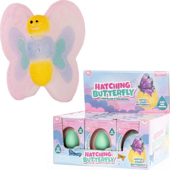 Image du produit Sombo Oeuf 6cm papillon Display