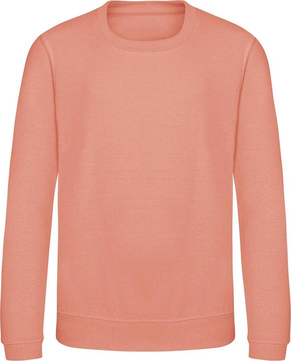 Image du produit Awdis Just Hoods Pull Sweatshirt Unicolore (116)