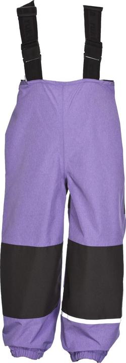 Paisley Purple