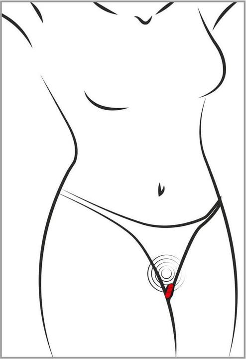 Actual product image Sweet Smile RC Panty Vibrator