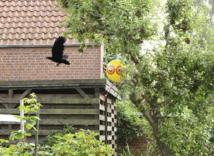 Produktbild Gardigo Vogelfrei Ballon