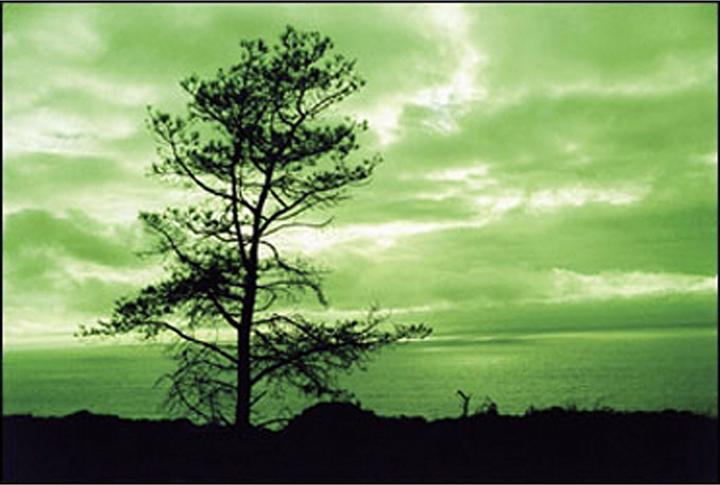 Produktbild Cokin Filter A004 (62 mm, Farbfilter, 62 mm)