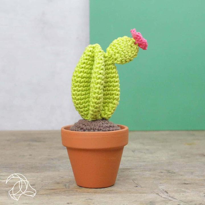 Image du produit Hardicraft Cactus - Kit de crochet