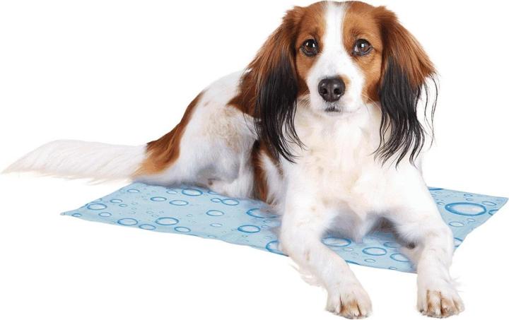 Produktbild Trixie Kühlmatte (Hund)