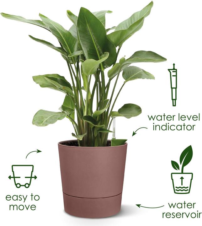 Image du produit Elho Blumenschale (43 cm)