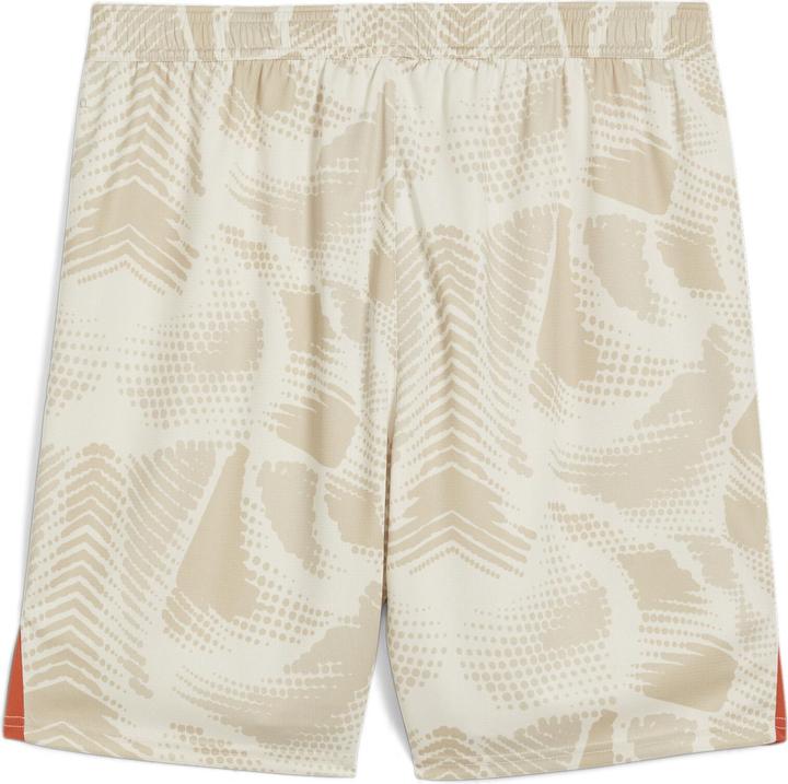 Actual product image Puma BVB GK Shorts Replica (M)