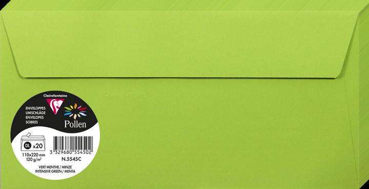 Actual product image Pollen Envelopes (110 x 220 mm, 20 x)