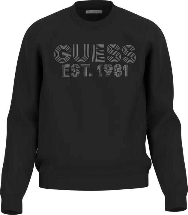 Produktbild Guess Sweatshirt Pullover BEAU (XXL)