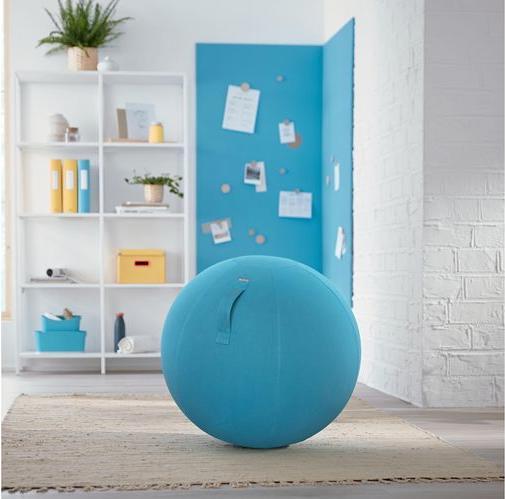 Actual product image Leitz Ergo Cosy Active sitting ball (65 cm)