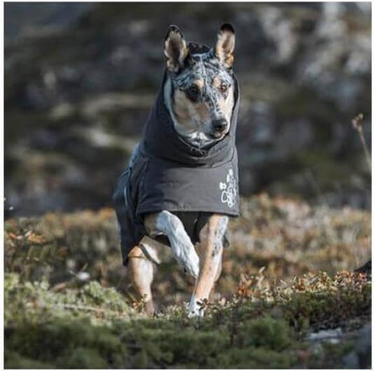 Actual product image Hurtta Winter Coat Extreme Warmer 2 (65, L, Dog coat)