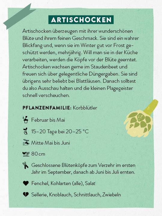 Actual product image Card set: No time to garden - 64 cards - Quick and easy to a vegetable garden (German)