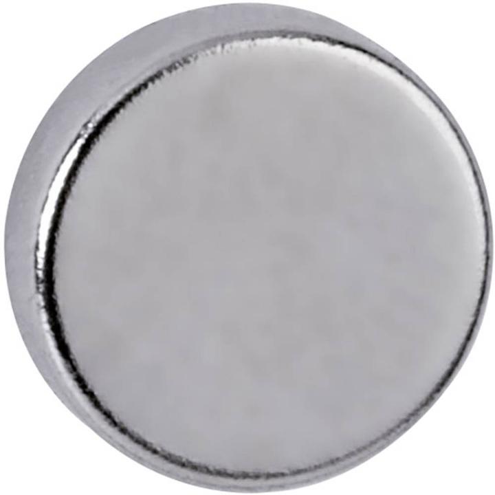 Actual product image Maul Magnet (10 x)