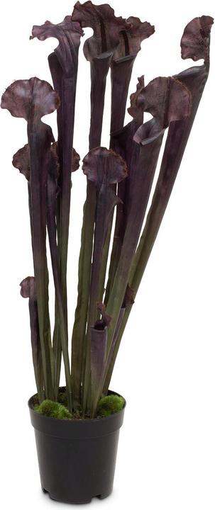Produktbild Fleur Ami KOBRALILIE Kunstpflanze (62 cm)