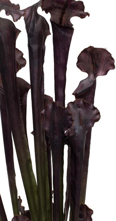 Produktbild Fleur Ami KOBRALILIE Kunstpflanze (62 cm)